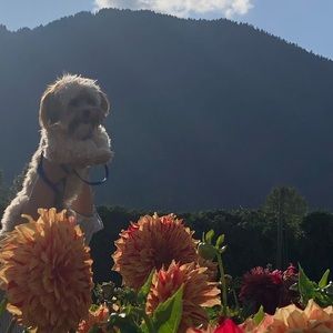 Meet your Posher, Jan